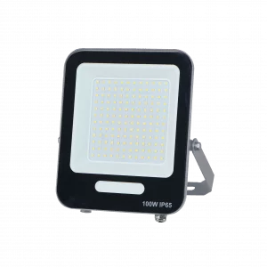 Flood Light FL02 100W - Eco Line