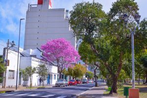 Proyecto de iluminacion realizado en la ciudad de Buenos Aires, Argentina