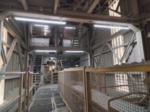 Proyecto de iluminación realizado en las instalaciones de Cantera Mañaria, en Mañaria, Bizkaia