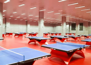 Proyecto de iluminacion realizado en el Centro deportivo de la Unoversidad Normal de China Central, en Wuhan ,China.