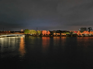 proyecto de iluminacion realizado en el parque ecológico del lago Yuanxiang, en Yangzhou.