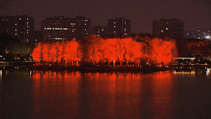 proyecto de iluminacion realizado en el parque ecológico del lago Yuanxiang, en Yangzhou.