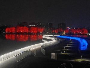 proyecto de iluminacion realizado en el parque ecológico del lago Yuanxiang, en Yangzhou.